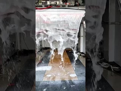 Peso totale/volume ≥3300 kg/≥8,5 m Sistema di lavaggio auto senza contatto completamente automatico